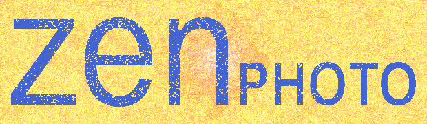 There were no images from which to select the random heading.